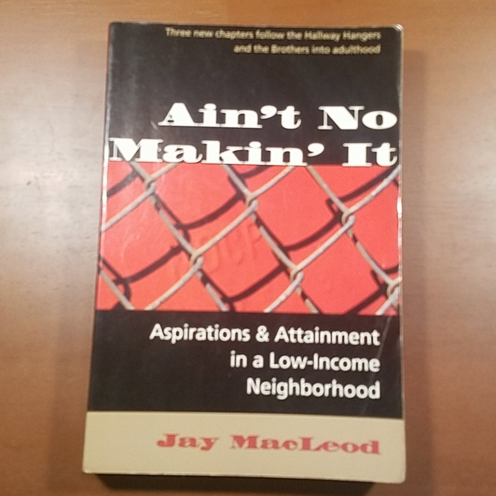 ⭐️ Ain't No Makin' It book